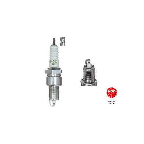 Spark plug ngk 2941 - plug, for