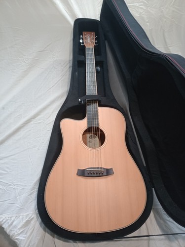 Tanglewood winterleaf tw10lh - tanglewood,
