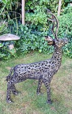 Stag deer standing - deer,