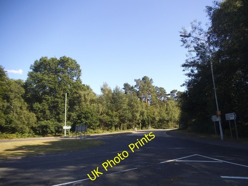 Photo 6x4 roundabout forest - photo,