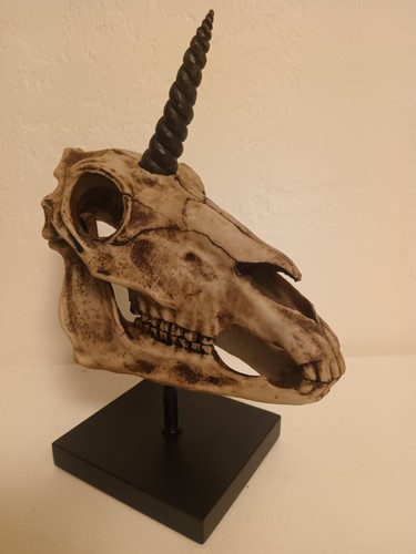 Unicorn skull resin - resin, sculpture