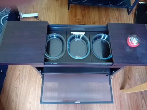 Philips hostess vintage - vintage, retro