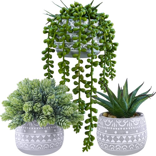 Pcs assorted small potted - 3,