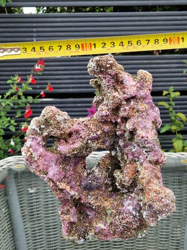 Tmc eco reef marine - eco,