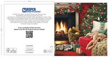 RSPCA Charity Cosy Fireside
