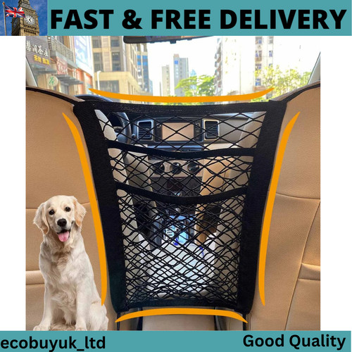 Pet dog car safety - dog,