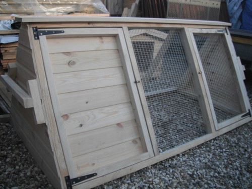 Rabbit guinea pig chicken - rabbit, arc