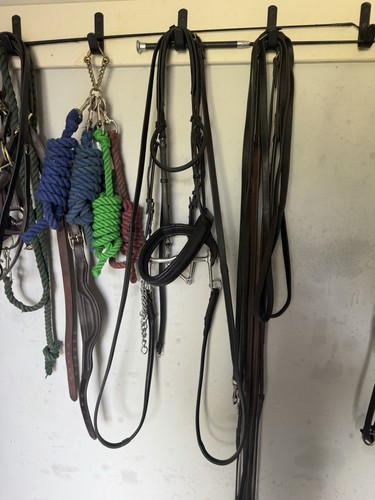 Albion double bridle full - double,