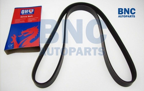 Alternator drive belt fits - belt,