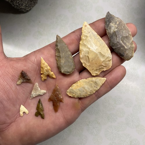Mlc s8396 neolithic - mlc, (10)