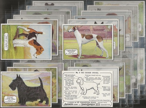 Ardath full set champion dogs - set-,
