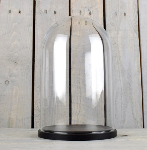 Emh medium glass dome display - dome,