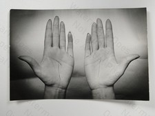 Human Hands Palms Up Lines