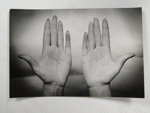Human hands palms - human, up