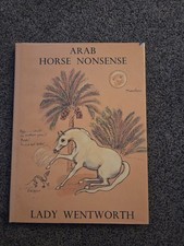 Arab Horse Nonsense - arabian