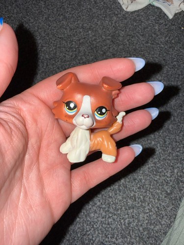 Authentic littlest pet - authentic,