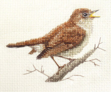 Singing NIGHTINGALE Bird Full