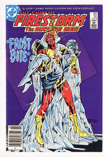 The fury firestorm vol 20 - the,