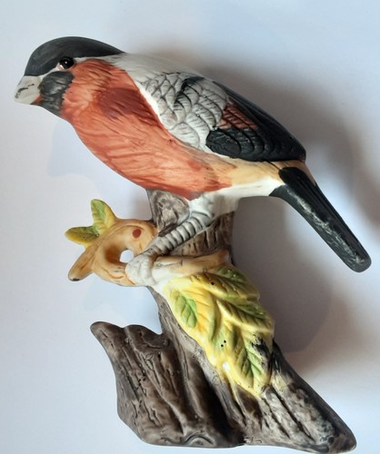 Small beautiful colourful - small,