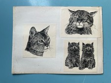 c1920s-30s CATS AND KITTENS THREE FINE ORIGINAL PEN AND INK DRAWINGS PLUS 2 DOGS