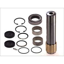 KING PIN SET FITS: RVI MAGNUM