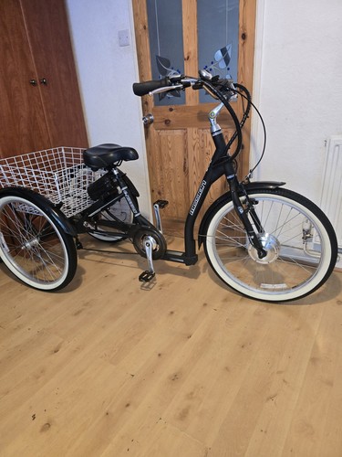 Adults tricycle mission - tricycle,