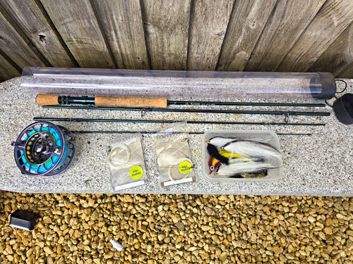 Predator pike bass fly - pike,