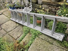 Youngman Trade 200 triple extension ladder