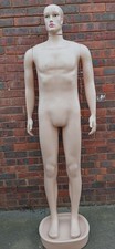 Male full body mannequin - male,