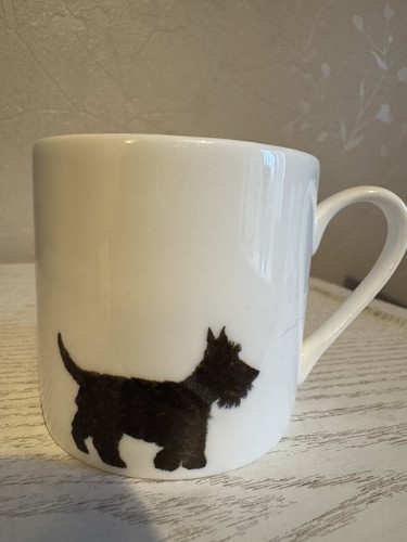 Chloe gardner espresso - chloe,