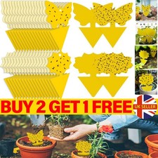 41Pcs(Set) Fly Catcher Sticky