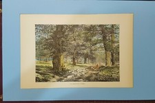 Handcoloured woodcut