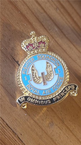 Raf fighter squadron enamel - raf,