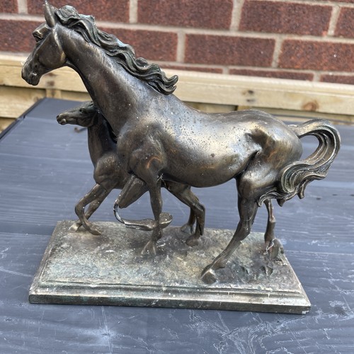 Beautiful mare foal - mare, &