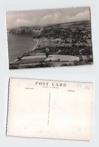 Vintage postcard sidmouth from - vintage,