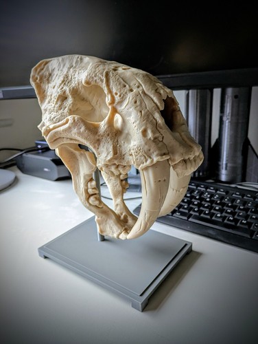 Printed saber tooth tiger - 3d,