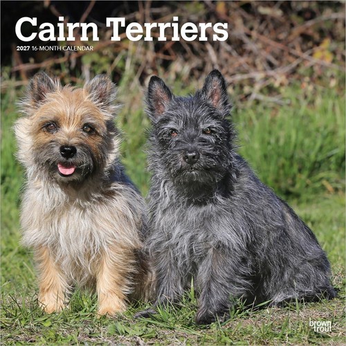 Cairn terriers 2027 calendar - terriers,