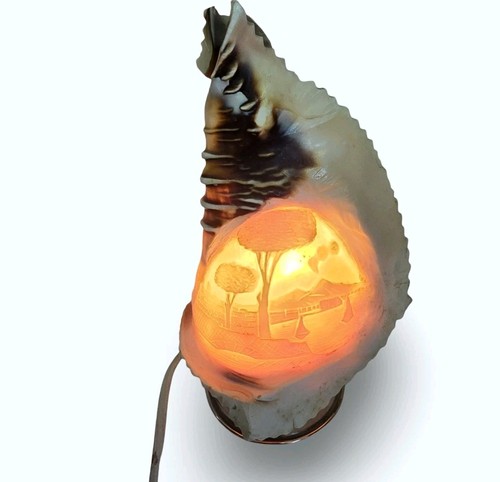 Antique carved cameo conch - carved,