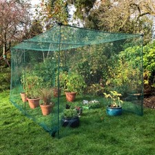 Garden Budget Fruit & Veg Cage