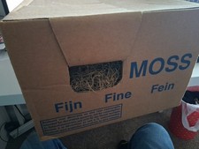 Spanish Moss Approximately