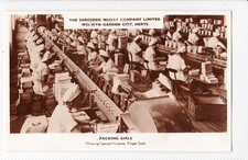 Welwyn Garden City - Shredded