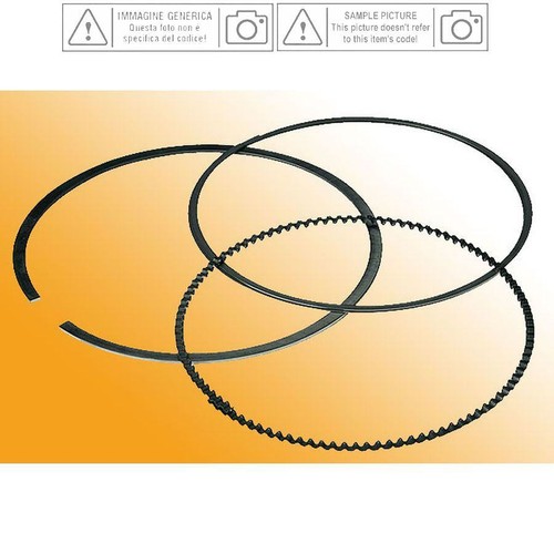 Segments for piston - piston,