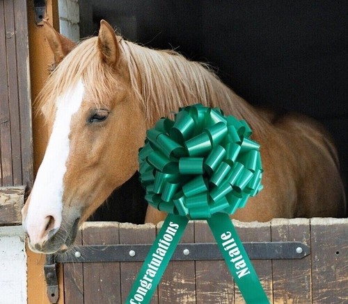 Horse rosettes giant bow - rosettes, 14"