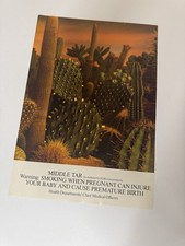 Original Benson and Hedges B&H Cigarettes Cactus Magazine Advert Poster Retro