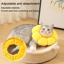 Soft cute sun flower cat - soft,