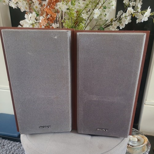 Sony ceh20 pair of - , ss-ceh20