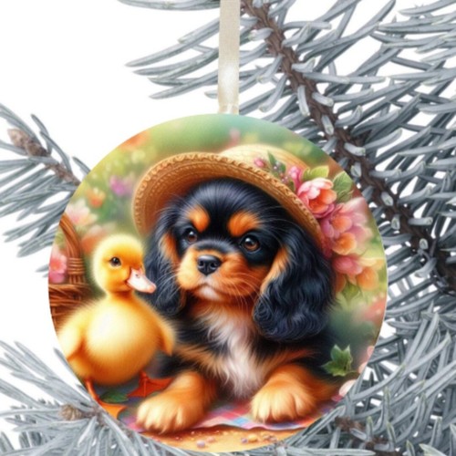 King charles cavalier spaniel - charles,