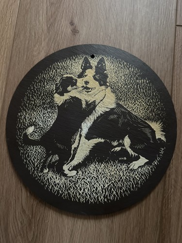 Vintage border collie sheepdog - border,