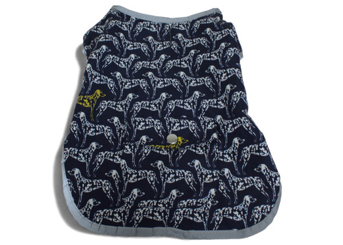 Next pets dalmatian dog - pets,