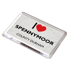 FRIDGE MAGNET - I Love
